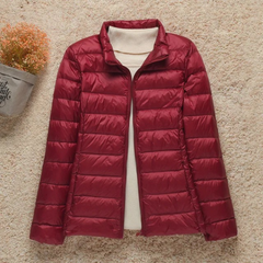 Cozy Puffer Jacket for Women with Stand Collar Long Sleeve Zip Up Lightweight Packable Style